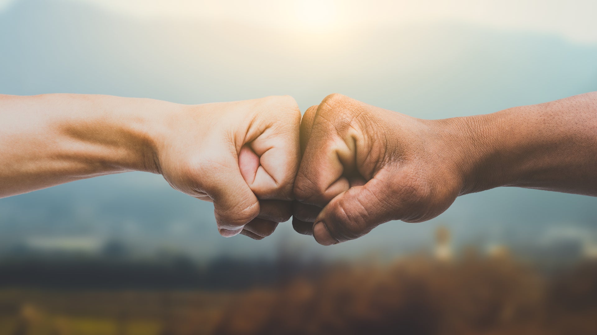 Partners in Protection